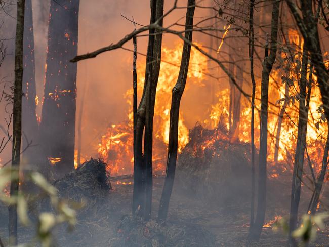 Fire tears through hectares of bushland at Snug Tiers. Photo: Tasmania Fire Service