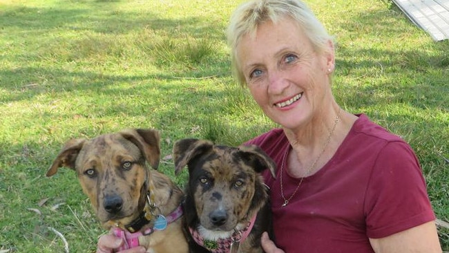 Owner of Monika’s Doggie Rescue at Ingleside, Monika Biernacki, has been awarded the Medal of the Order of Australia (OAM) for her service to animal welfare. Picture: News Corp