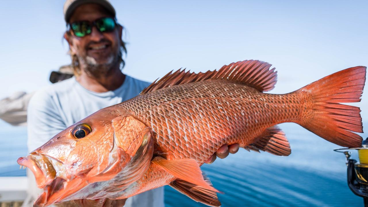 Fishing Monthly Magazines : Chasing jacks around townsville