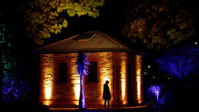 Heritage buildings with an eerie glow at Botanica Lumina. Picture: Adelaide Botanic Gardens