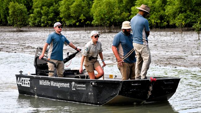 Townsville-based Wildlife Officer Ella Meeve aboard a Queensland Department of Environment, Science and Innovation boat towing an unamused four-metre saltwater crocodile to shore at Port Hinchinbrook in Cardwell on Monday. Picture: Cameron Bates