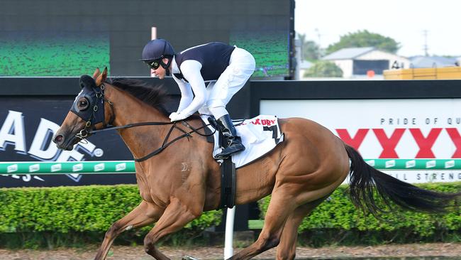 Isotope shot to the top of MM Guineas charts when she waltzed home under Ryan Maloney in Saturday’s Mode Plate. Picture: Grant Peters