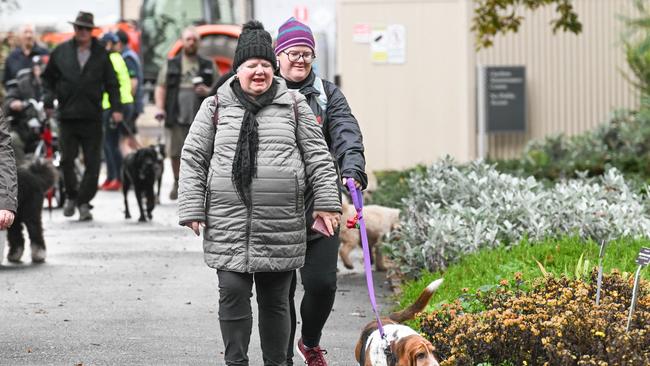 Million Paws Walk at Adelaide Botanic Gardens. Picture: Brenton Edwards
