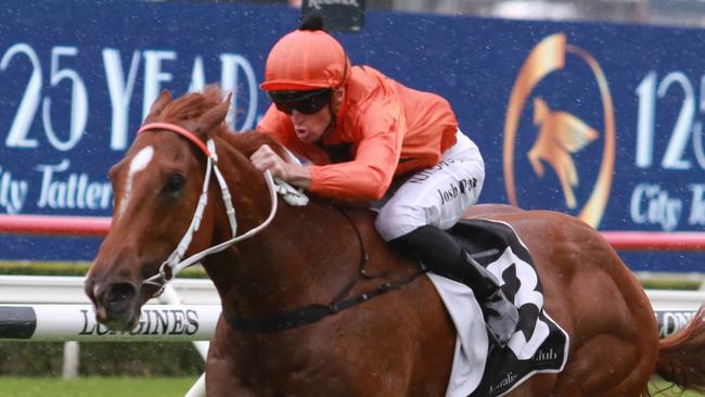 The Bopper can kick off his campaign on a winning note at Rosehill on Saturday. Picture: Grant Guy