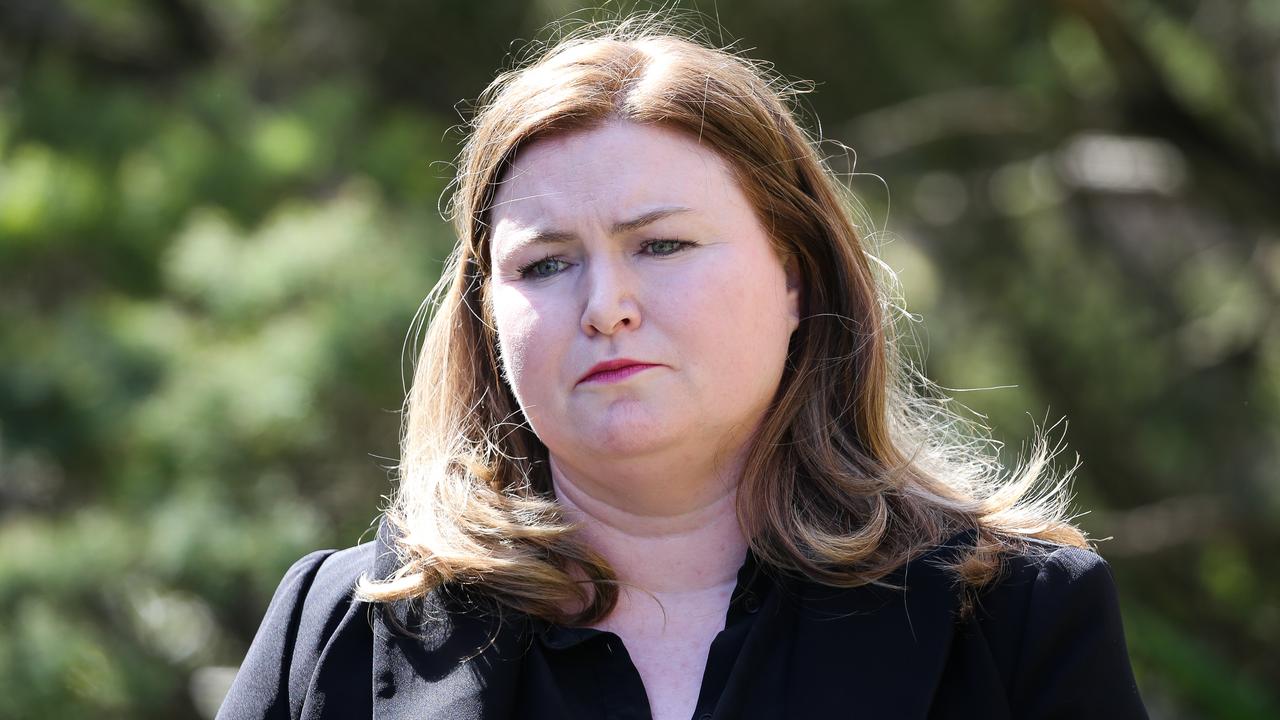 NSW Minister for Agriculture Tara Moriarty and the government will be advised by the independent agriculture commissioner. Picture: NewsWire/ Gaye Gerard