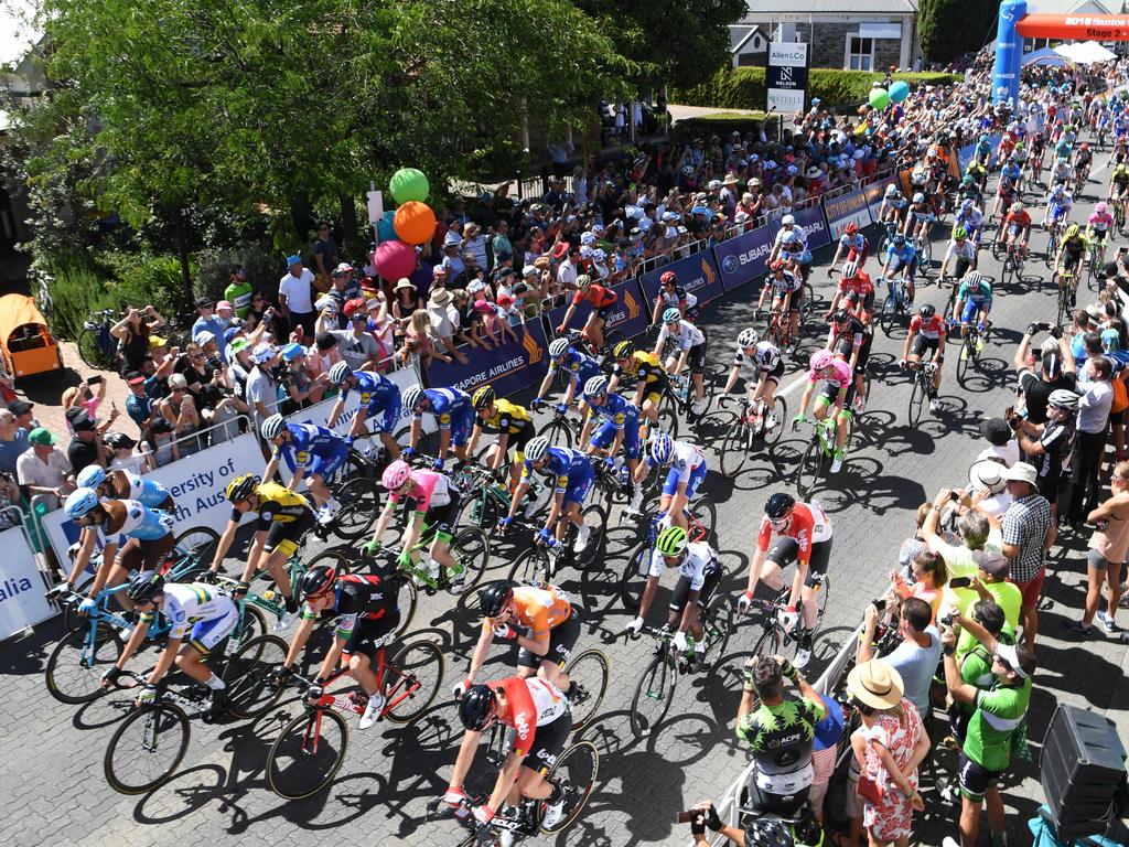 Riders at the start line of the Tour Down Under Stage 2, Unley to Stirling. Picture: Tricia Watkinson