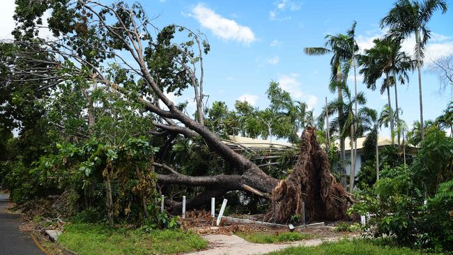 A fallen tree narrowly missed a house in Nightcliff during Cyclone Marcus in Darwin. Picture: Keri Megelus