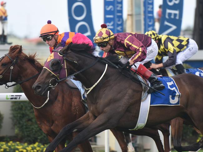 Cylinder Beach edges out stablemate Too Good To Refuse in the Gunsynd Classic. Picture: Grant Peters, Trackside Photography