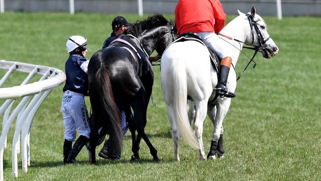 Jockey Ryan Moore on Cliffsofmoher is assisted by a race steward. Picture: Dan Himbrechts/AAP