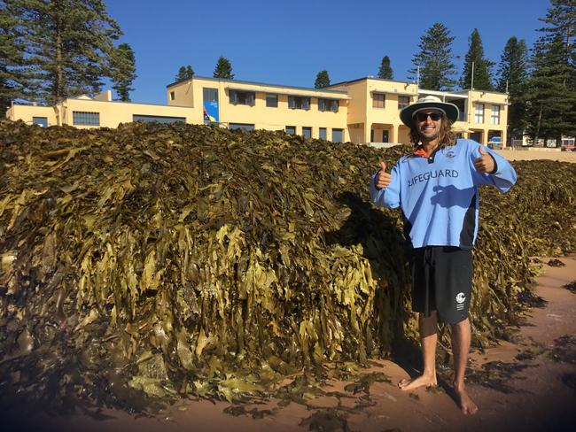 Northern Beaches Council lifeguard Liam Arms with a mountain of seaweed that has forced the closure of Collaroy Beach.