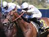 Count set to soar in Silver Eagle