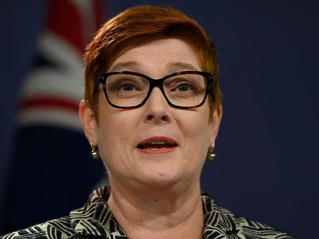 Minister for Foreign Affairs Marise Payne. Picture: NCA NewsWire/Bianca De Marchi