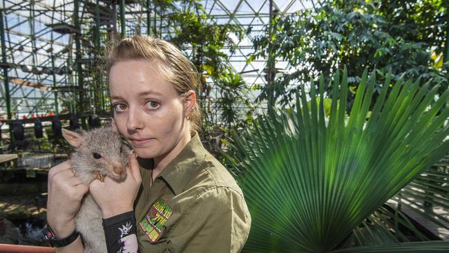 The guests aren’t there to amuse the animals: wildlife keeper Chloe Schafer at the Cairns Zoom and &amp; Wildlife Dome. Picture: Brian Cassey