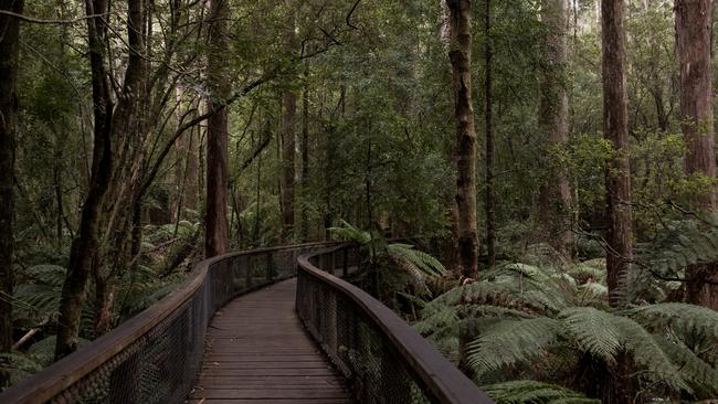 The Project X site at Hastings Cave State Reserve. Picture: REMI CHAUVIN