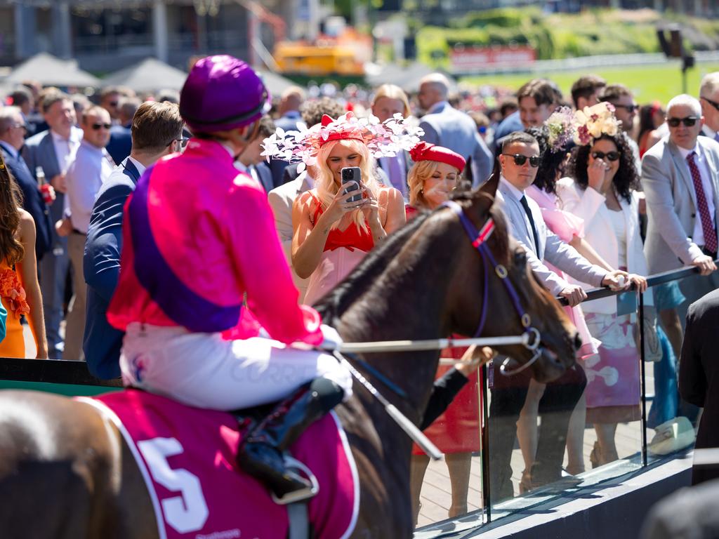 Racegoers admire the horses. Picture: Jason Edwards