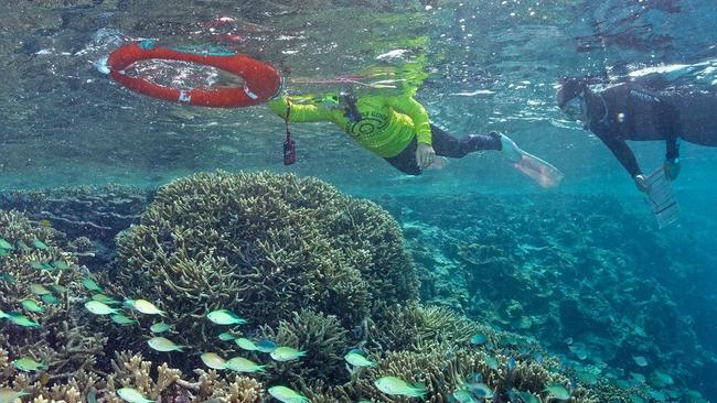 Fishing line is one of the main forms of litter impacting The Great Barrier Reef.