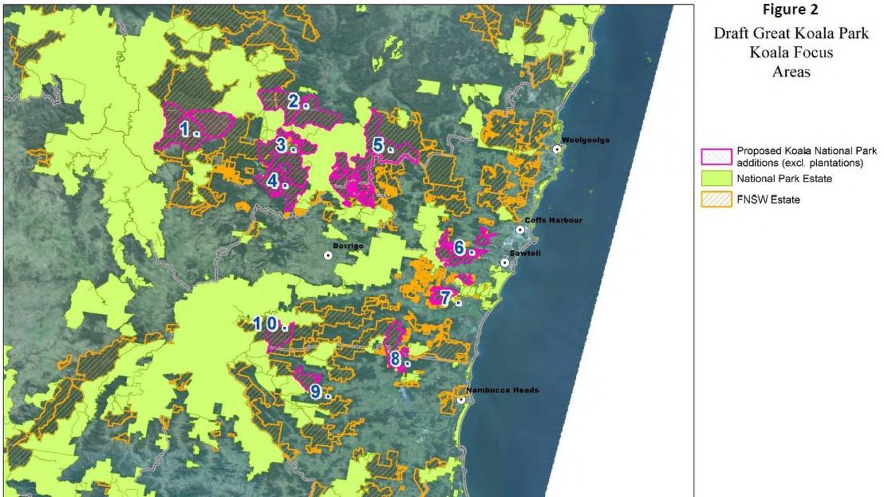 The Great Koala National Park plan National Parks Association of NSW