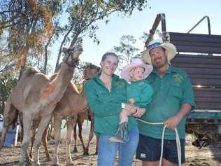 RACING HEARTS: The Woodhouse family from Boulia with Gunner the camel took out the 400 metre cup final at the Tara Festival of Culture and Camel Races over the weekend. . Picture: Kate McCormack