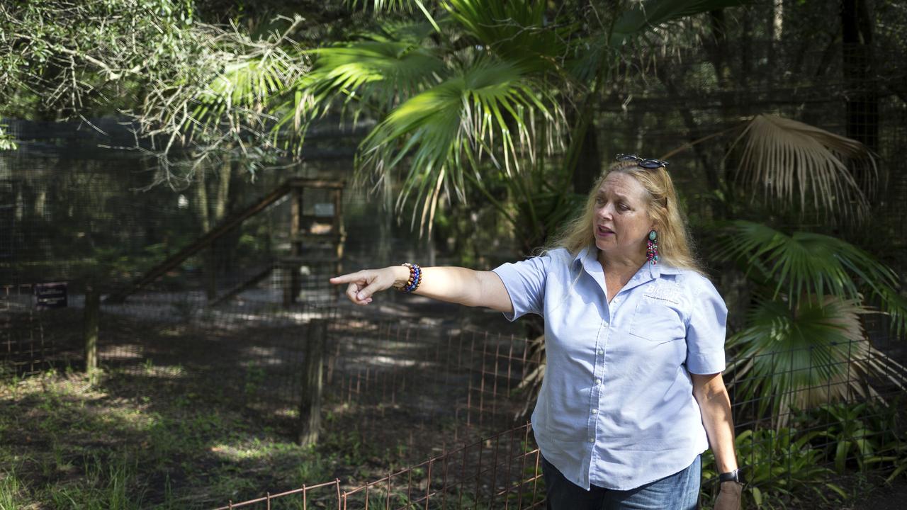 Carole Baskin, founder of Big Cat Rescue. Picture: Loren Elliott/Tampa Bay Times via AP