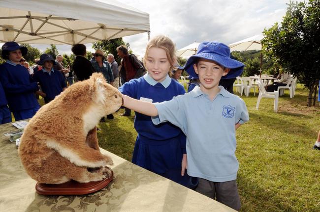 Mimi O'Reilly 9, and Samuel Roberts 8, from Tregeagle public school at the launch of the Koala plan of Management at Tregeagle. Picture: Doug Eaton