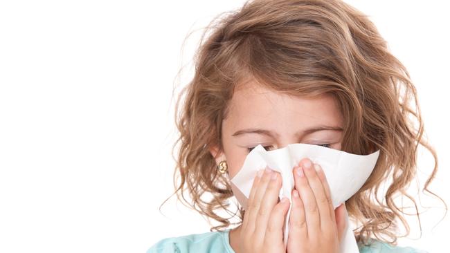 Almost one in four Victorians suffer from hay fever.