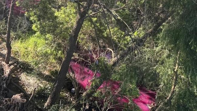 A creek at Kellyville has transformed into a bright pink.