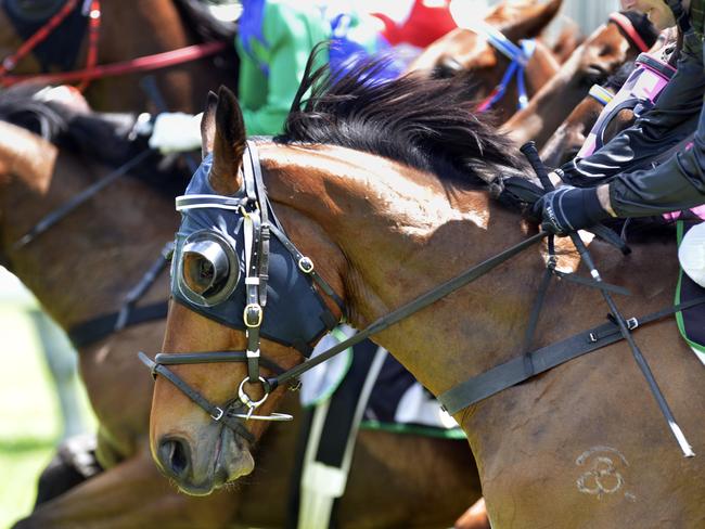 Neurum Road jumps out of the gates in the Higer Bus & Coach Handicap 1700m at the Bundamba Race track on Friday, December 14.Photo: Claudia Baxter / The Queensland Times