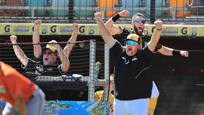 David Nilsson - Manager (Brisbane Bandits) - Photo: SMPIMAGES.COM /ABL Media.