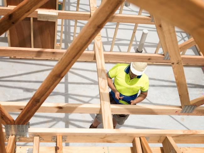 Builder checking plan on digital tablet.