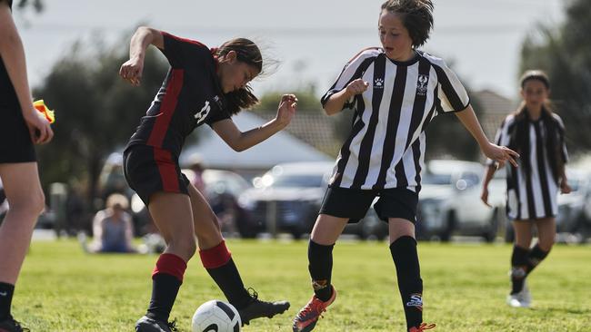 The 2024 School Sport SA Sapsasa country soccer carnival will kick-off this week. Picture: Matt Loxton