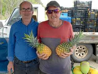 Michael Beck and Norman Harth at their roadside fruit stall on the way to Yeppoon. Picture: Jann Houley