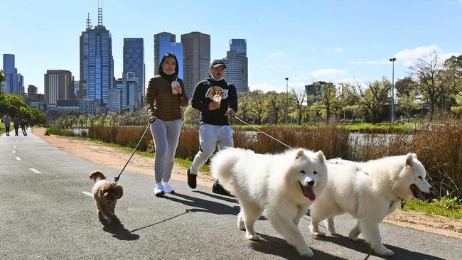 People walk their dogs along the banks of the Yarra River in Melbourne on Sunday. Picture: AFP