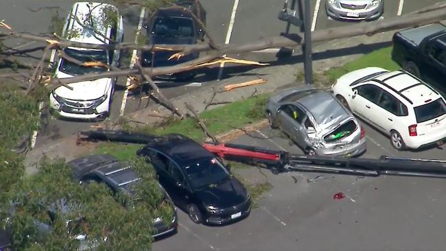 A remote operated crane fell bringing down a tree and crushing parked cars at Bond University. Picture: 9News Queensland.