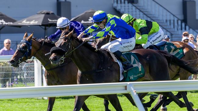 Jake Noonan urges Yellowbrick Road home in the Group 3 Lord Reims Stakes. Picture: Makoto Kaneko