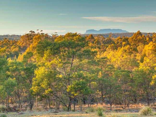 PROTECTED: Little Swanport Reserve, on Tasmania’s East Coast, has been purchased by the Tasmanian Land Conservancy. Picture: ANDY TOWNSEND