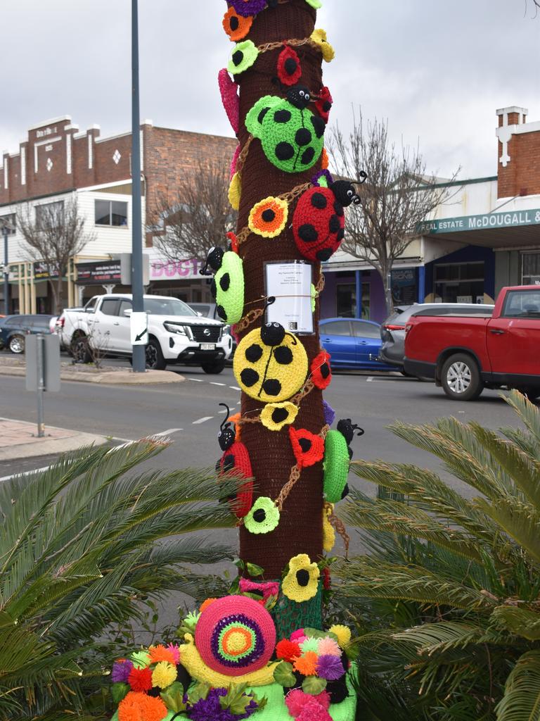 Kerry O'Mara's eye-catching tree jumper titled 'My Favourite Garden'. Photo Jessica Paul / Warwick Daily News