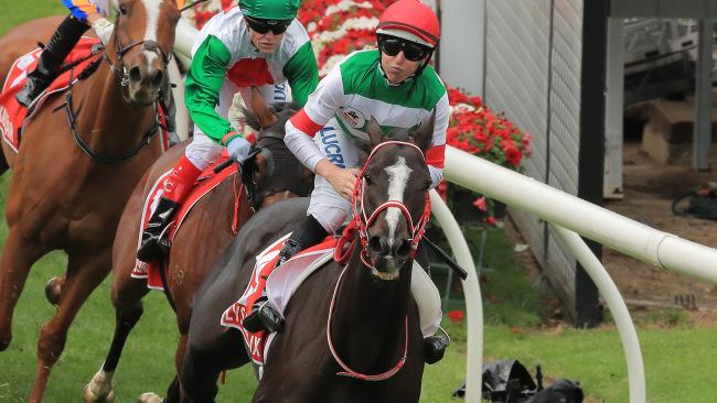 Lys Gracieux was dominant in her Cox Plate win.