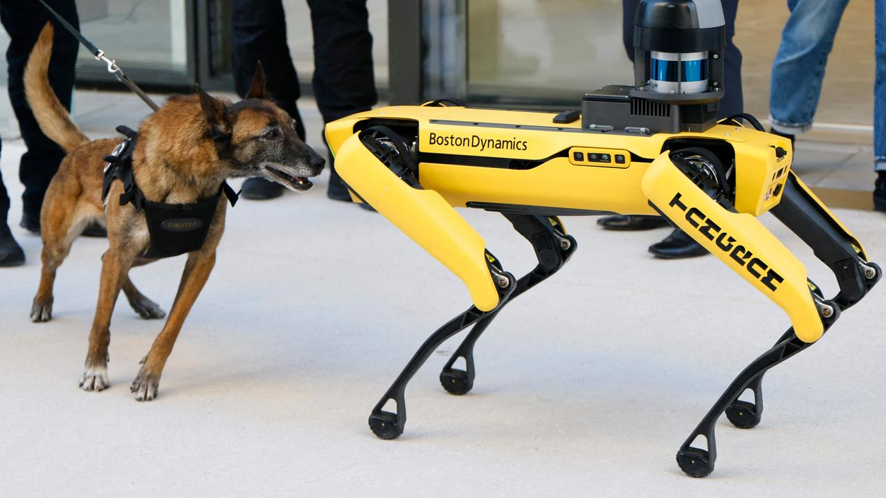 A police dog from the French National Police inspects a Boston dynamics dog robot at a training campus in Marseille. Picture: Ludovic Marin/AFP