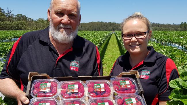 Ripe for the picking: Merv Schiffke and daughter Laura Wells with some of their produce.