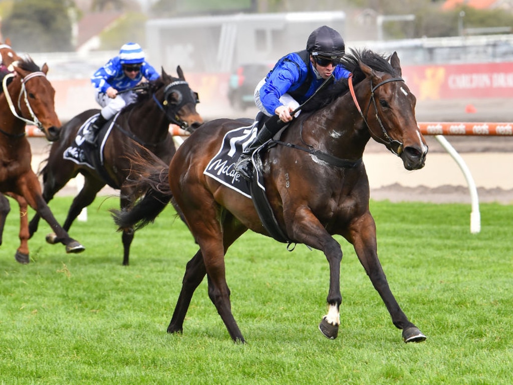 Asfoora wins the The McCafe Sprint at Caulfield. Picture: Reg Ryan–Racing Photos via Getty Images