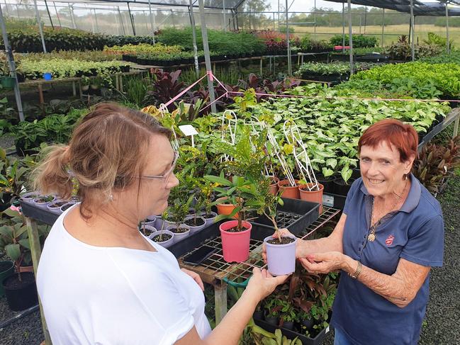 Salvation Army Garden Centre manager Lorraine Doglione (right) helps Ipswich resident Jenny Chapman choose the right plants for her garden.