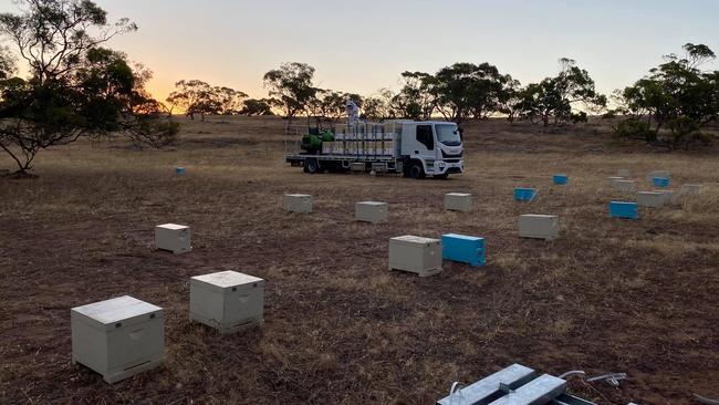 Social media photo of Jake Farquhar’s successful bee box business.