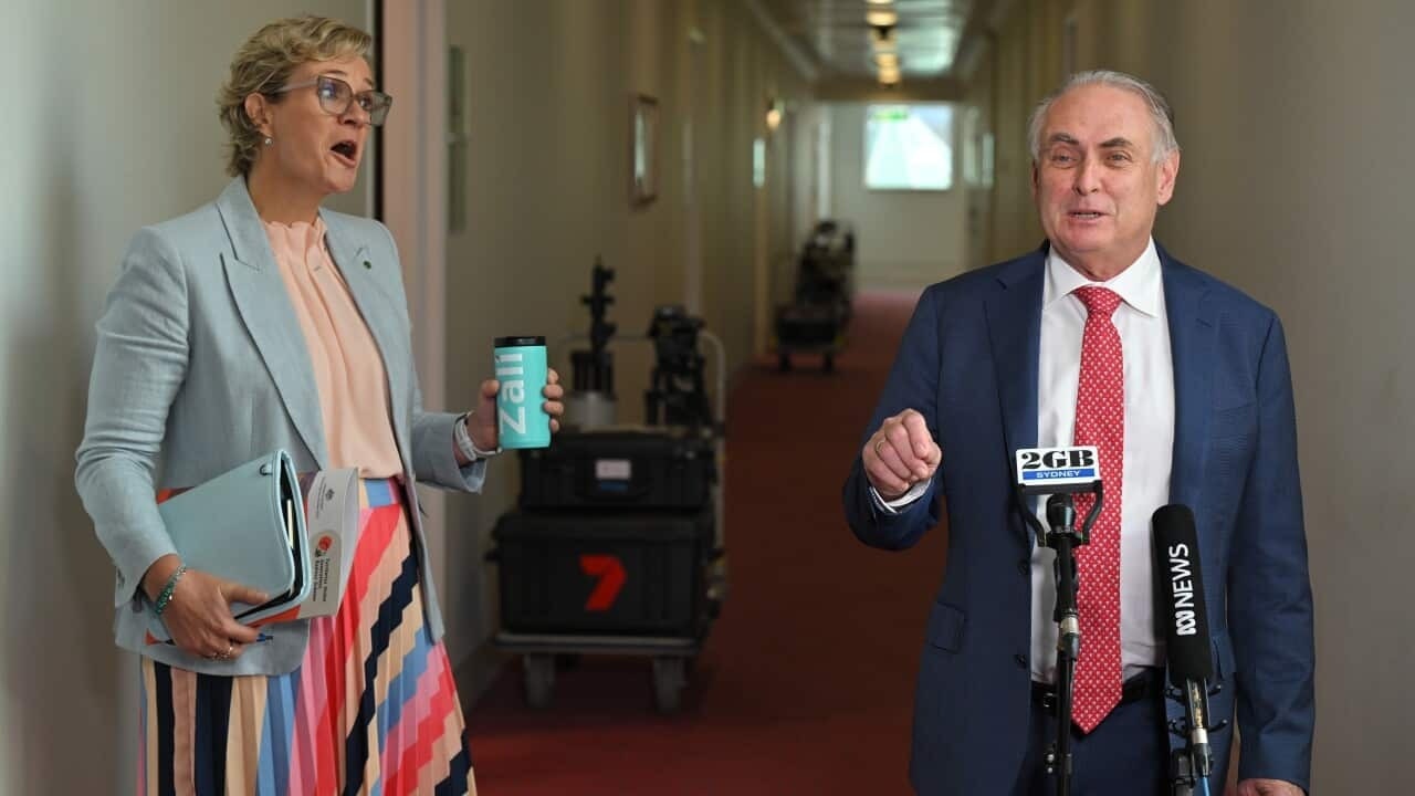 ‘That’s just not true’: Steggall and Farrell in Parliament corridor stoush |WATCH