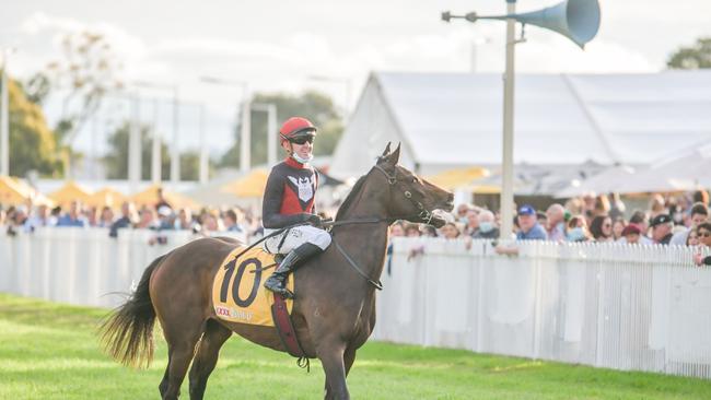 Jockey Ben Thompson brings 10 Purrfect Deal back to scale after winning the 2021 Grafton Cup at the Clarence River Jockey Club July Carnival.