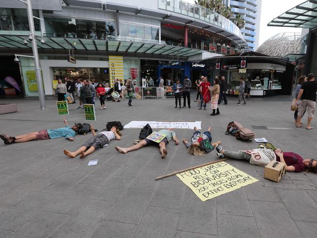 Similar protests, like this one at Surfers Paradise, have grown in popularity in recent years. Picture: Mike Batterham