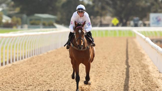 New training track opens at Werribee Racecourse | Herald Sun