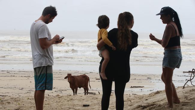 Onlookers admiring the beast at the beach. Picture: Glenn Hampson