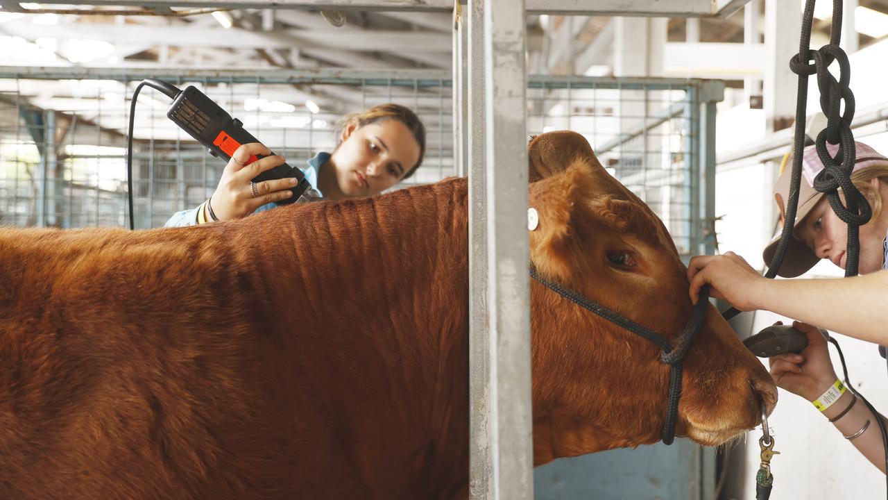 The UK and Europe crave Australia’s high-quality beef, but farmers will need to adhere to high sustainability standards to keep the dollar. Picture Lachie Millard