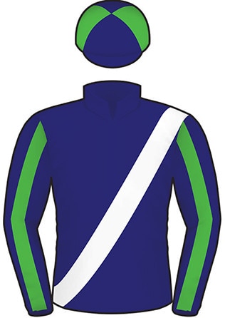 2019 Melbourne Cup runner Mirage Dancer.