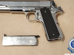 Stolen firearms found in Warren. Photo: NSW Police.